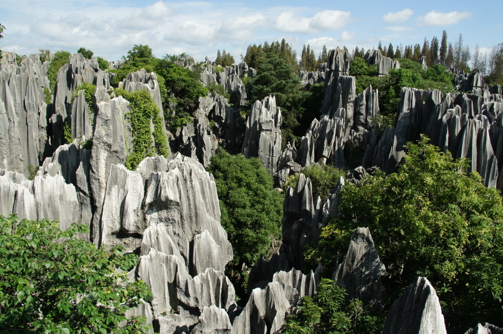 каменный лес шилинь фото