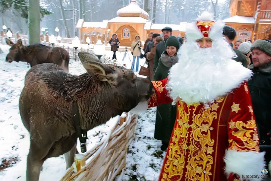 беловежская пуща резиденция деда мороза фото