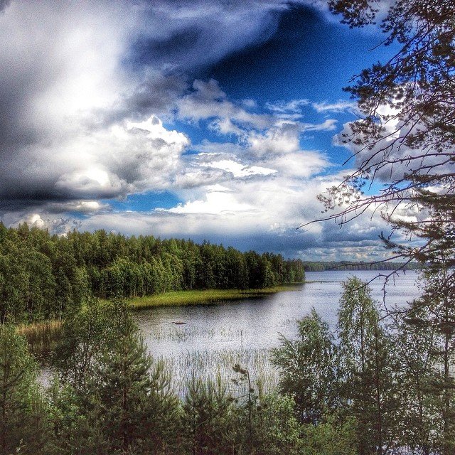 остров медвежий ладожское озеро фото