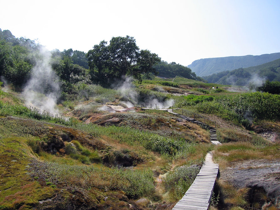 ÐÐ¾Ð»Ð¸Ð½Ð° Ð³ÐµÐ¹Ð·ÐµÑÐ¾Ð² Ð¾ÑÐ»Ð¸ÑÐ½Ð¾ Ð¾Ð±ÑÑÑÑÐ¾ÐµÐ½Ð°. Ð¥Ð¾Ð´Ð¸ÑÑ Ð¼Ð¾Ð¶Ð½Ð¾ ÑÐ¾Ð»ÑÐºÐ¾ Ð¿Ð¾ Ð´ÐµÑÐµÐ²ÑÐ½Ð½ÑÐ¼ ÑÑÐ¾Ð¿Ð¸Ð½ÐºÐ°Ð¼, Ð¾ÐºÑÑÐºÐ¸ Ð±ÑÐ¾ÑÐ°ÑÑ ÑÐ¾Ð»ÑÐºÐ¾ Ð² ÑÐ²Ð¾Ñ ÑÐ¾Ð±ÑÑÐ²ÐµÐ½Ð½ÑÑ Ð¿ÐµÐ¿ÐµÐ»ÑÐ½Ð¸ÑÑ.