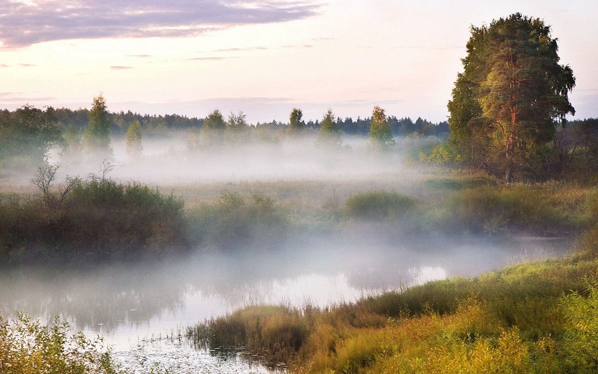 туман над рекой фото