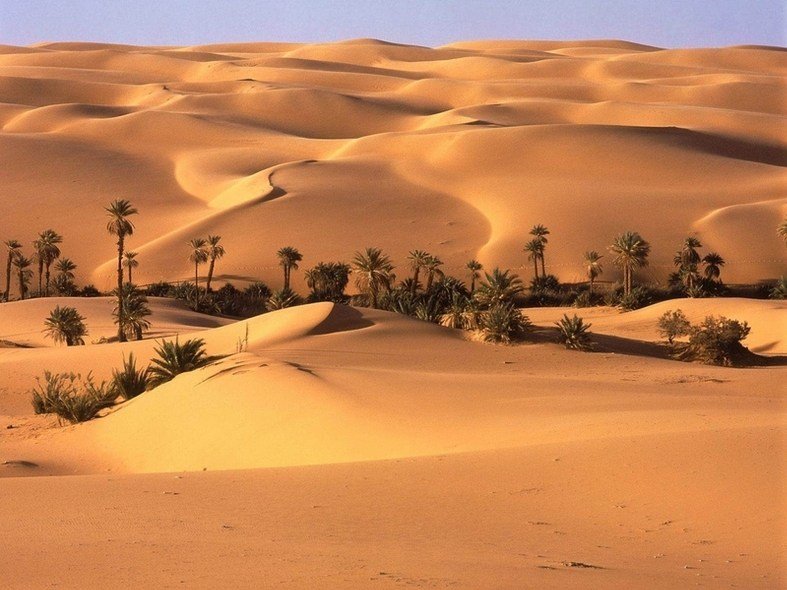 картинка пустыни для детей фото
