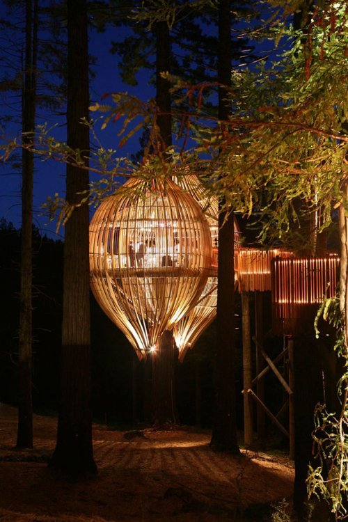 yellow treehouse restaurant новая зеландия фото