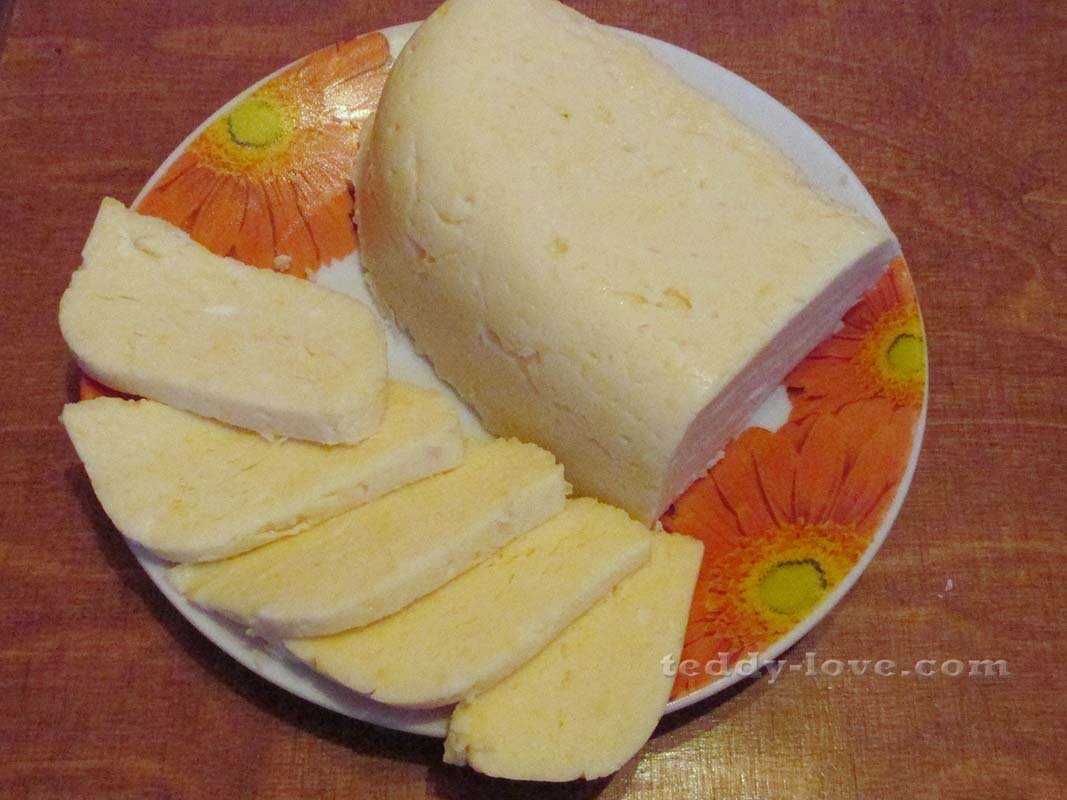 домашний сыр фото