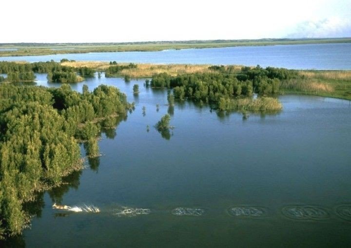 озеро в михайловке фото