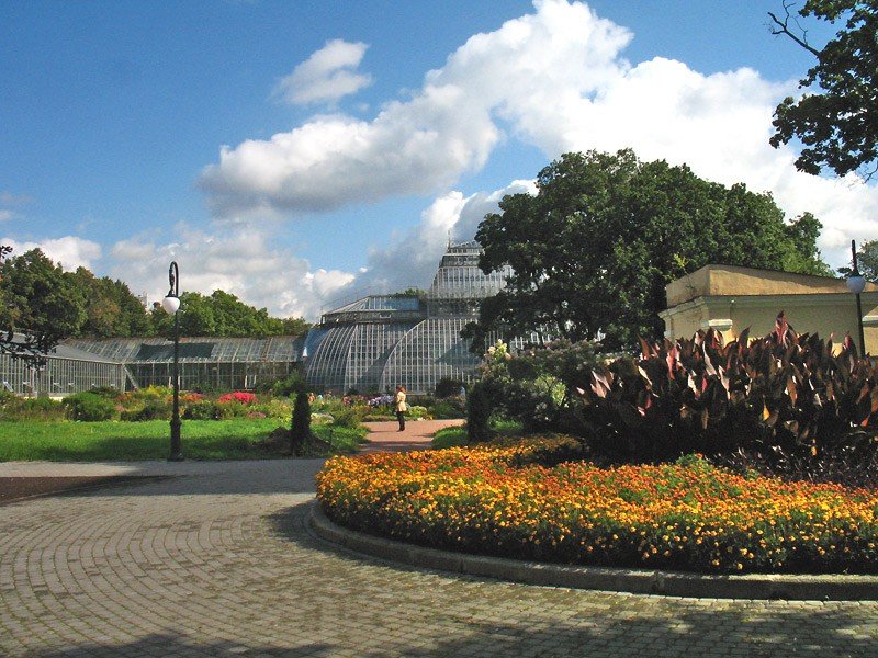 ботанический сад петра великого в санкт петербурге фото