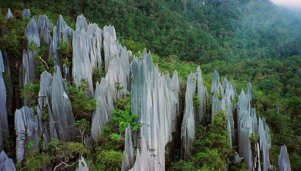 gunung mulu фото