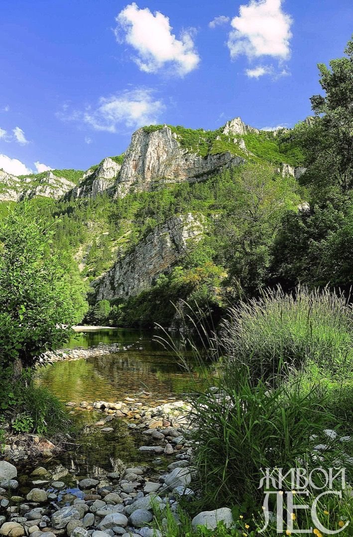 природный парк мурадымовское ущелье фото