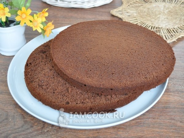 Проверенный рецепт приготовления нежного шоколадного бисквита для тортов, шаг за шагом с фотографиями.
