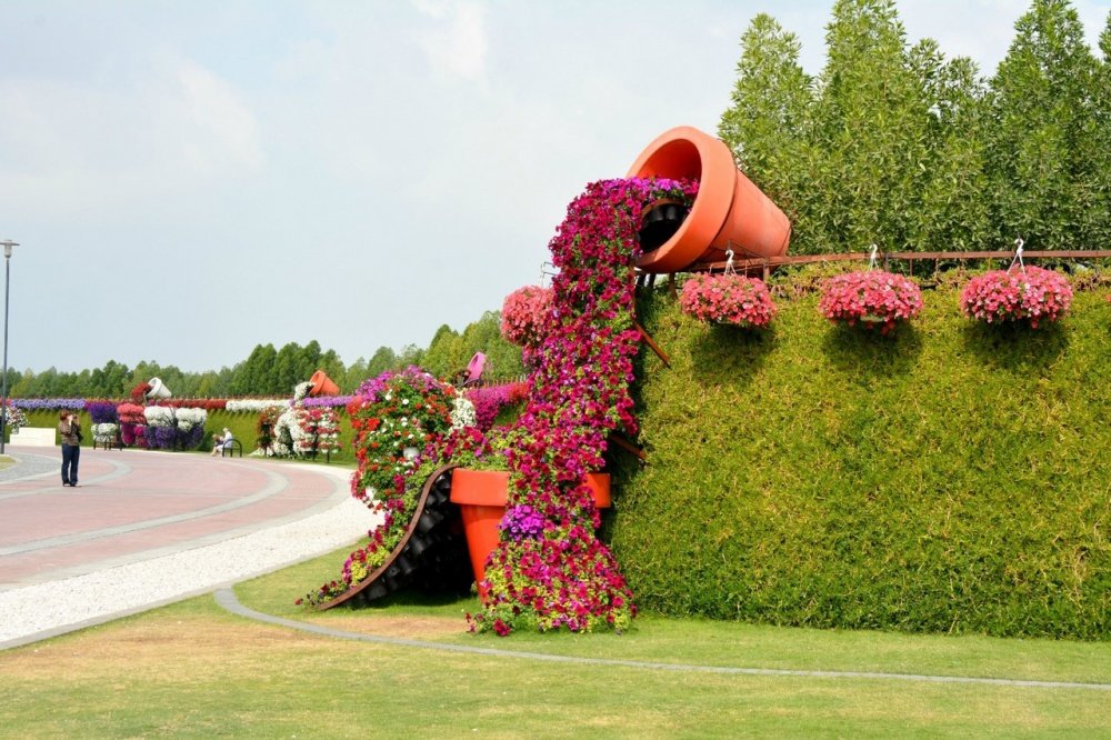 miracle garden дубай фото
