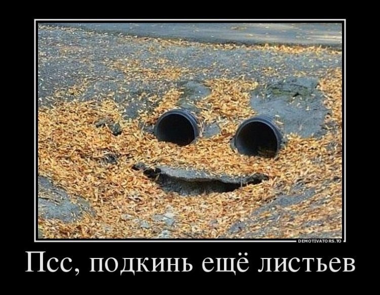 ты упоролся фото