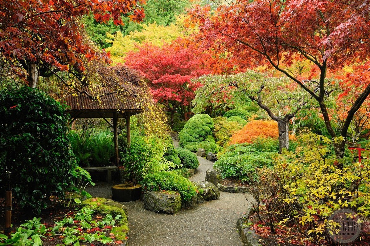 виды японских садов