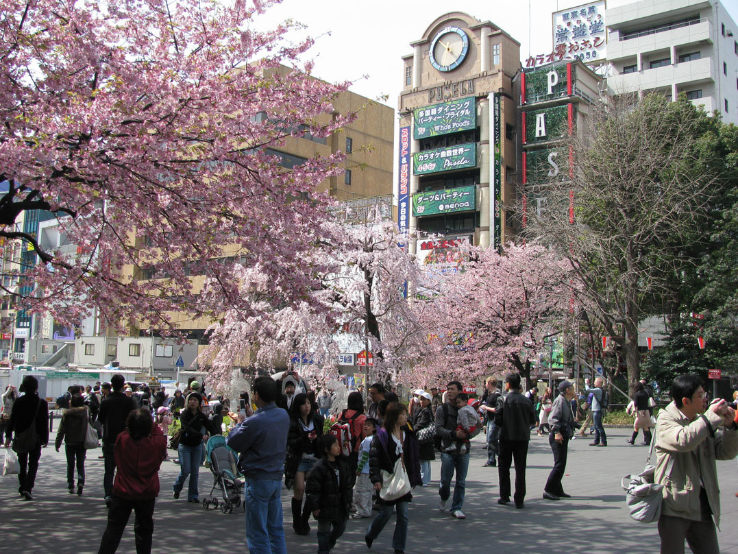 фото токио в марте фото