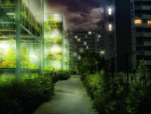 "urban farming" in paris photo фото