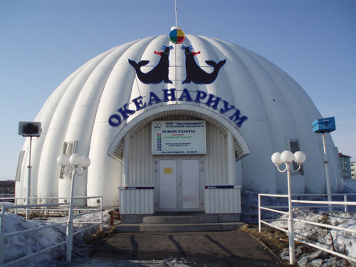 мурманский океанариум мурманск фото