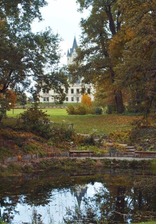 верхний пруд ораниенбаум фото