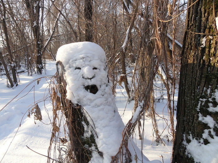 зимние причуды фото