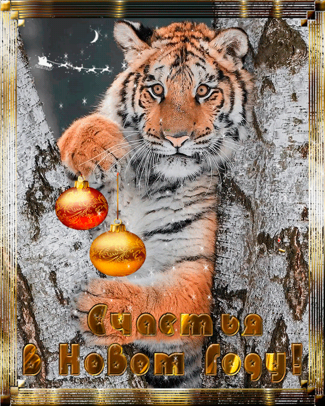Счастья в новом году ! Тигр