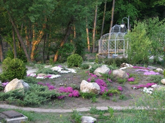 парк дендрарий хабаровск фото