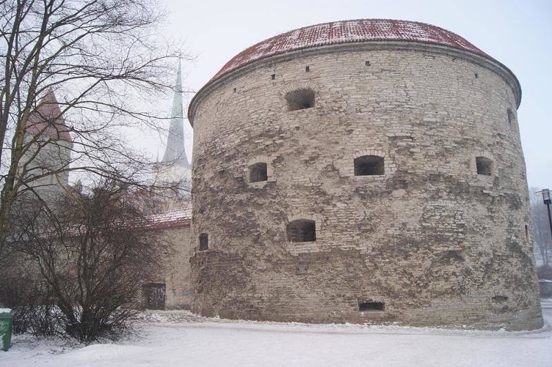 толстая маргарита в таллине фото