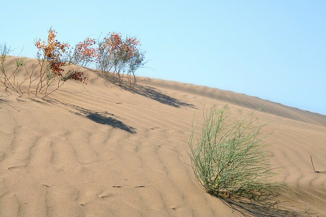пустыня каракумы фото