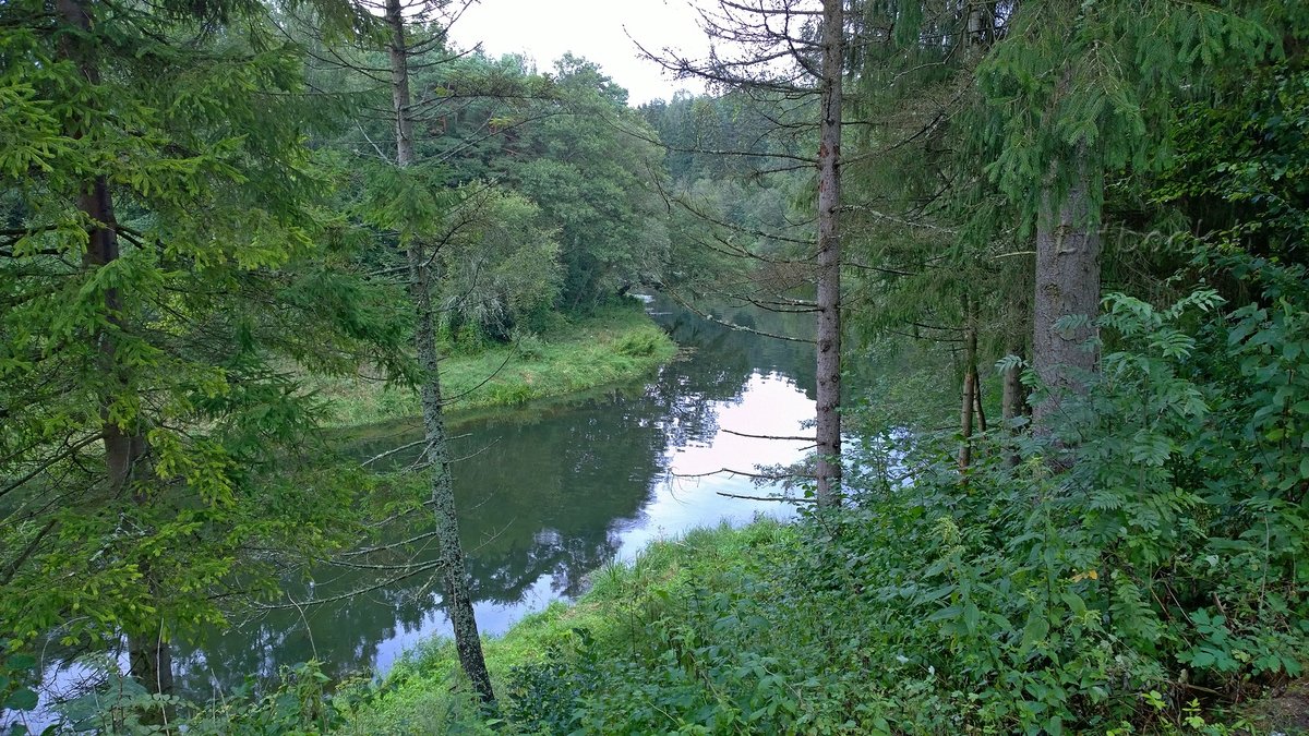 линдуловская роща река фото
