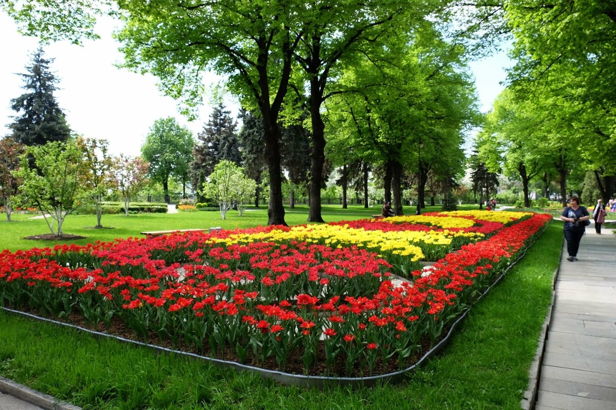 Тайницкий сад фото