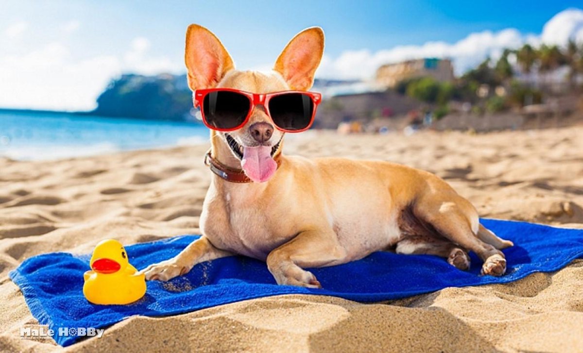 ���������� �������� ��� �������