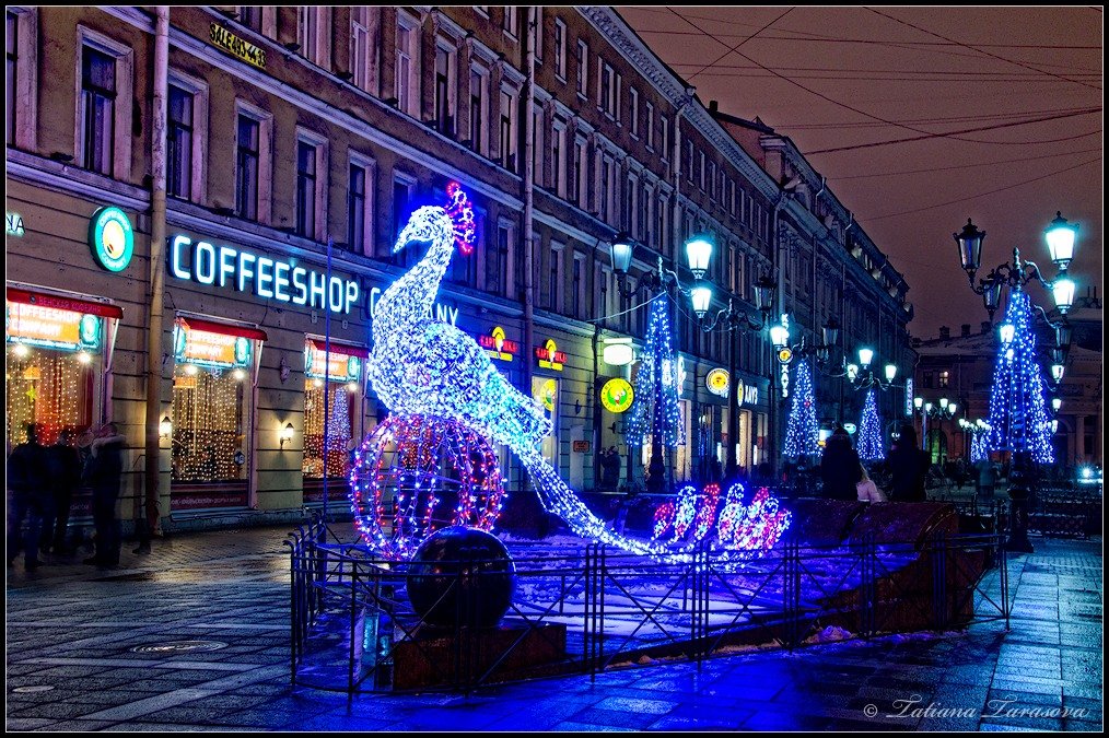 новогодний санкт петербург фото