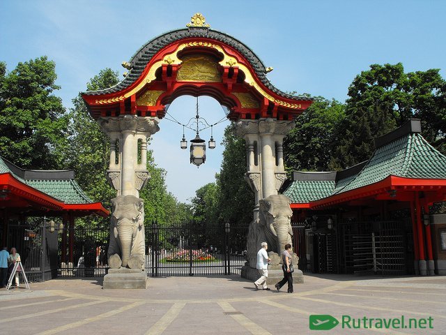 берлинский зоопарк фото