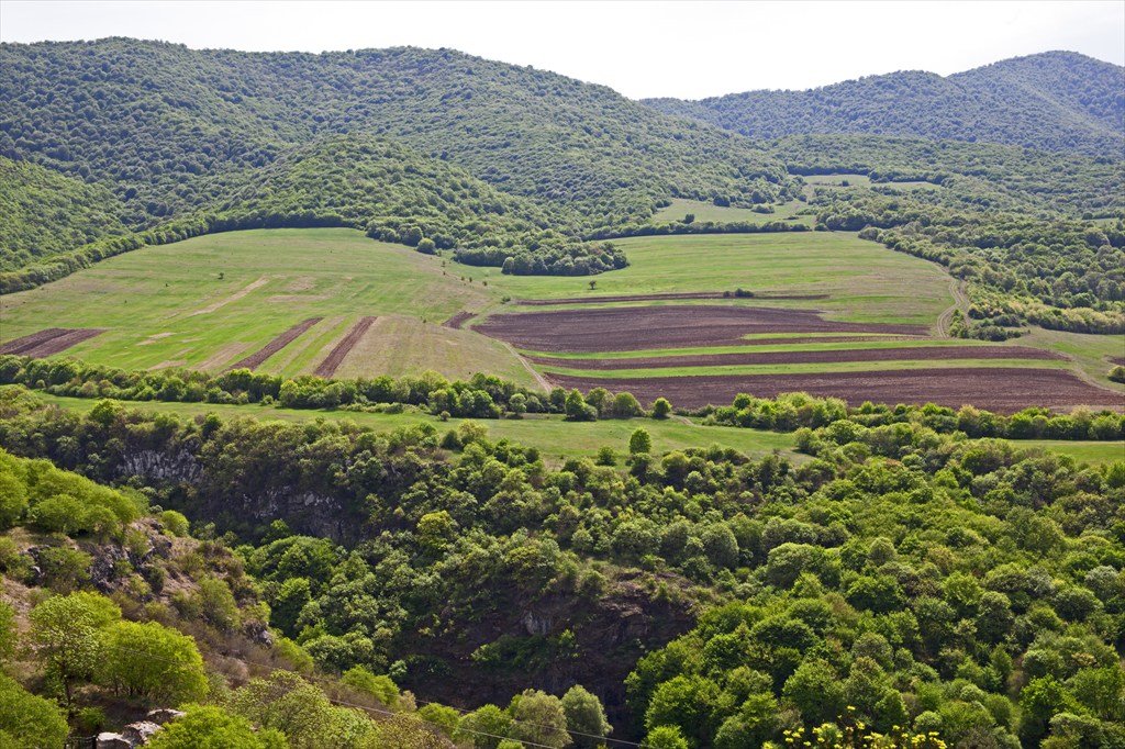 дманиси грузия фото
