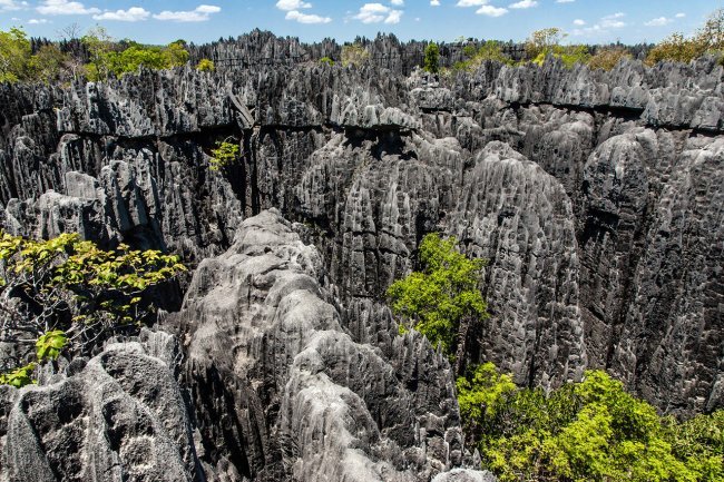 Цинжи-дю-Бемараха: фото, изображения и картинки
