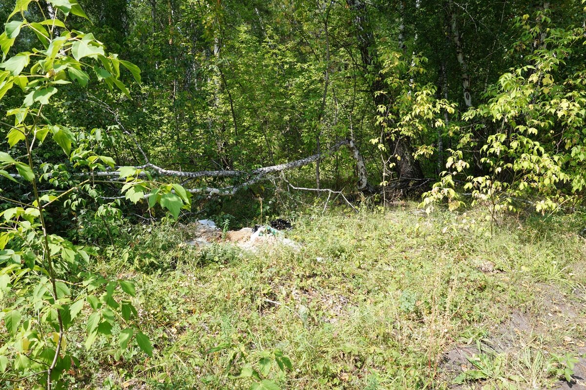 Там на неведомых дорожках, следы... 