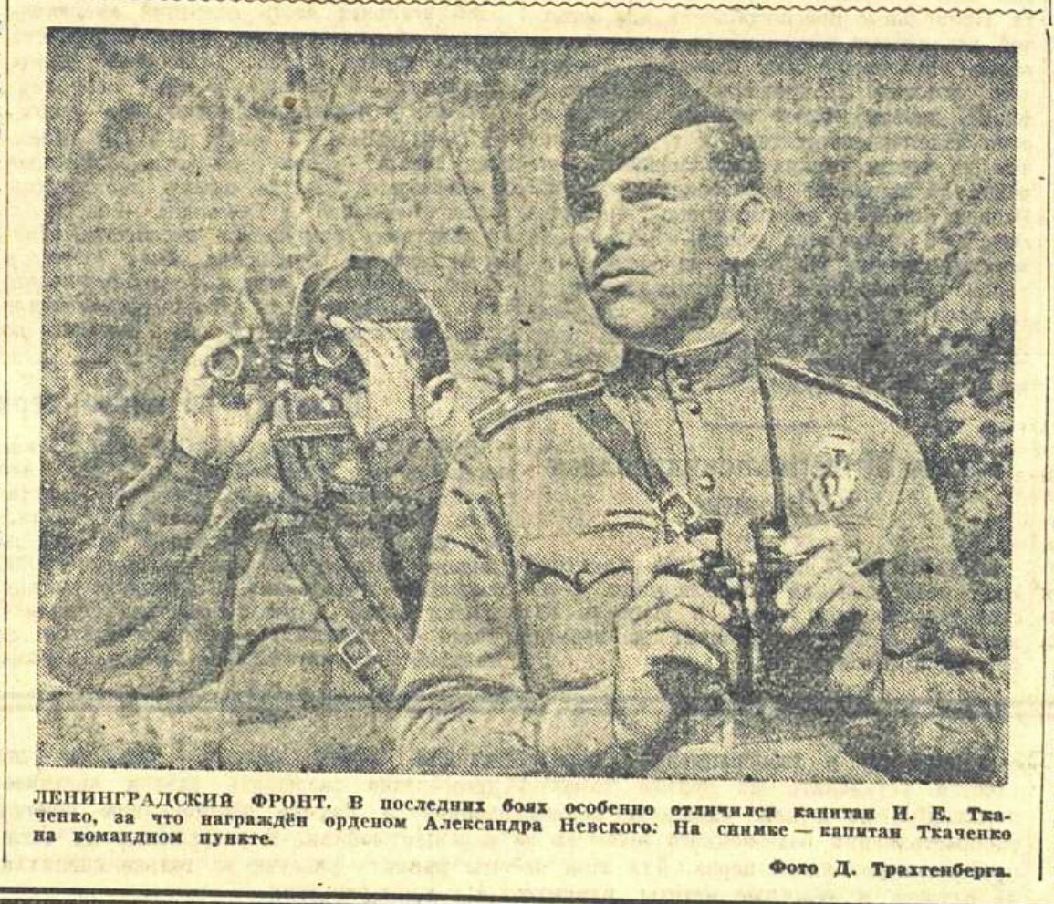 «Известия», 8 июня 1943 года