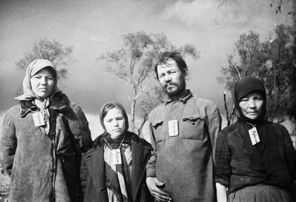 немцы в деревне 1941-1945 фото