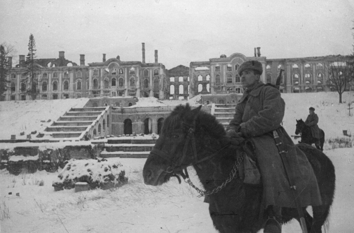 петергоф после войны фото