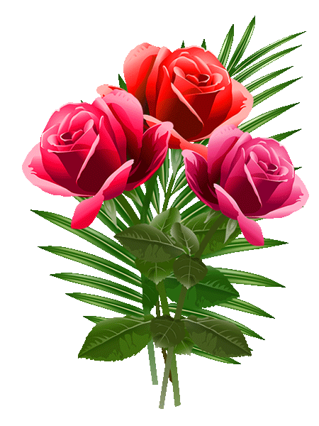 Розы на прозрачном фоне