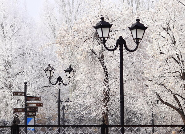 В скверике