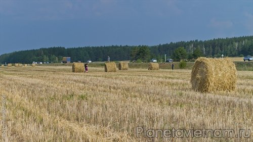 Донские депутаты приняли изменения в Полοжение о земельном налοге