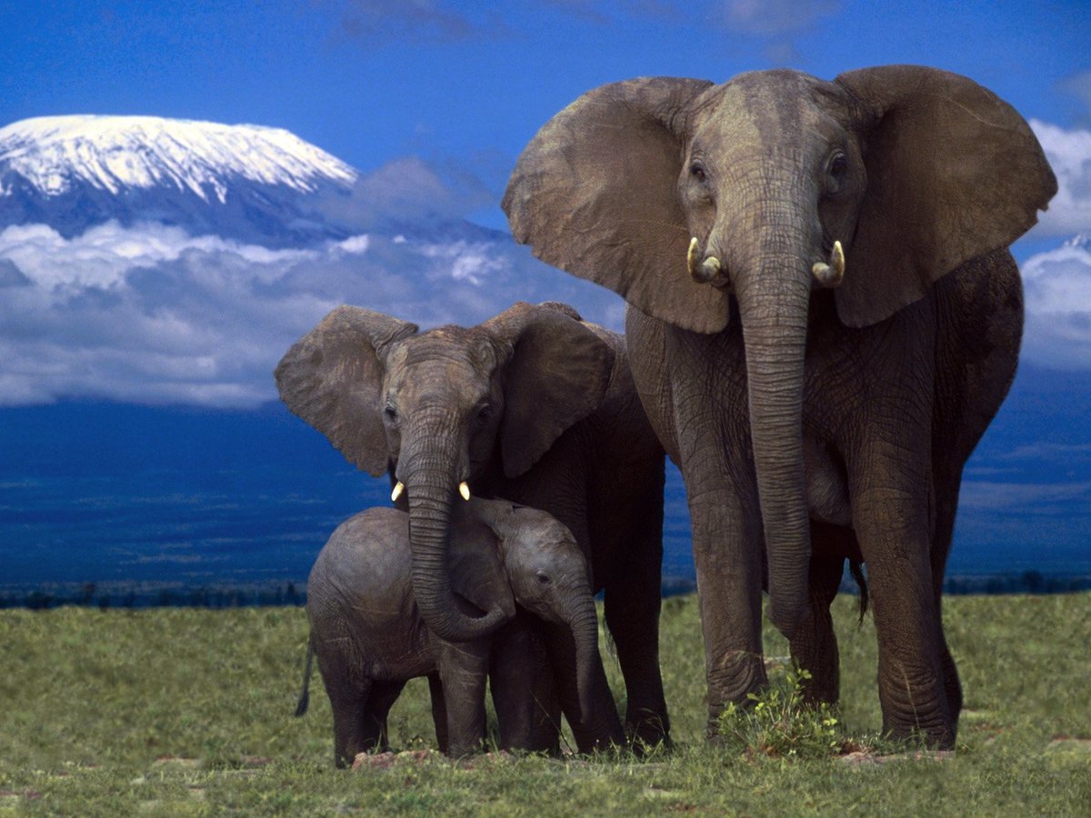 �������� �����