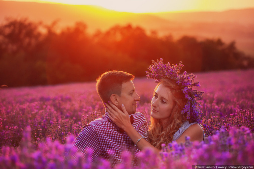 love story в лавандовом поле фото