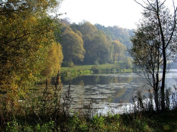 фото весна лес река фото