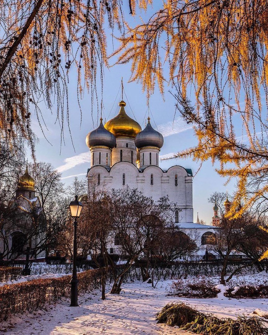 храм новодевичьего монастыря фото