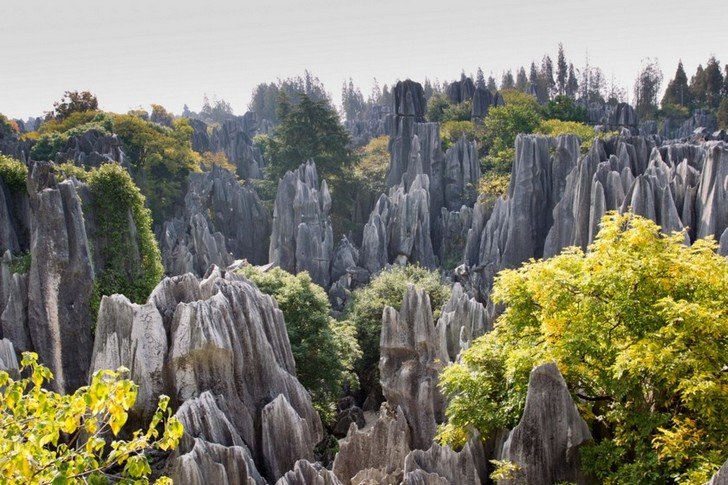 шилинь каменный лес фото