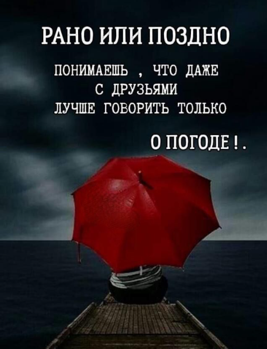 мудрые цитаты фото