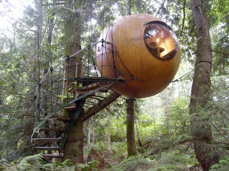 free spirit spheres канада, остров ванкувер фото