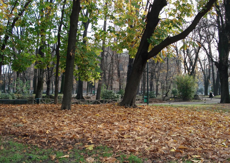 сады индро монтанелли фото