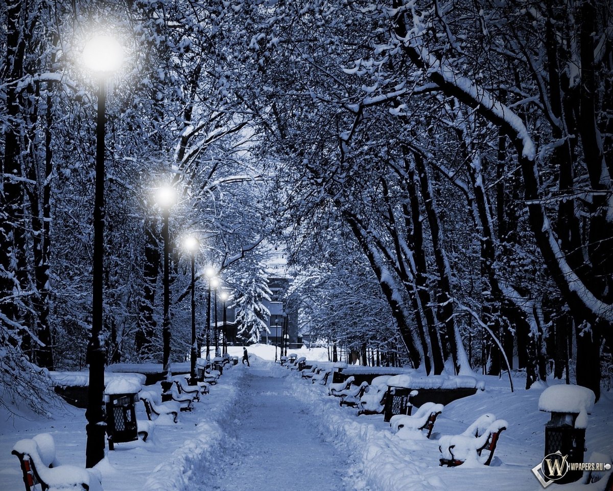 зимний парк фото