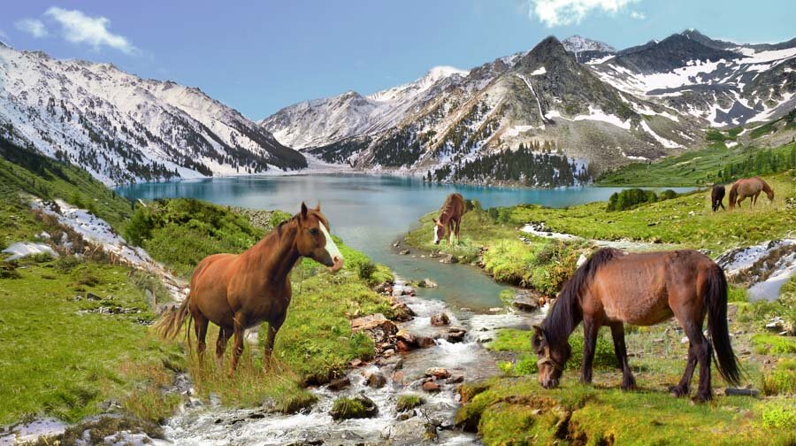 киргизия тянь шань лошади фото