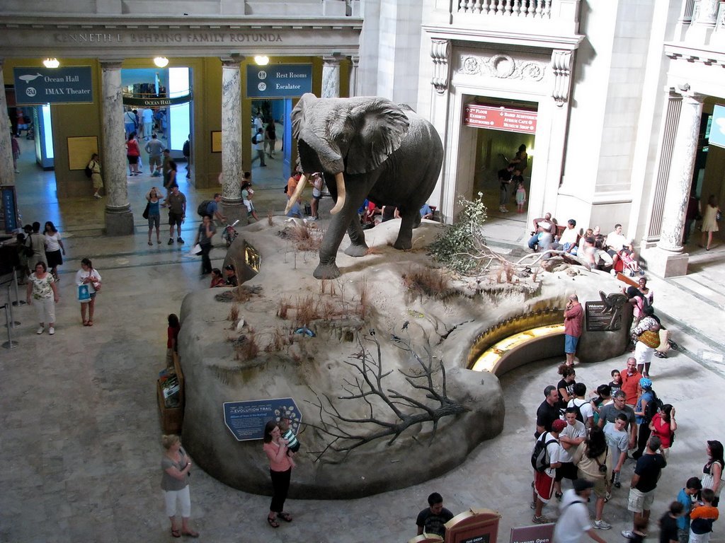 музей естествознания (natural history museum) фото
